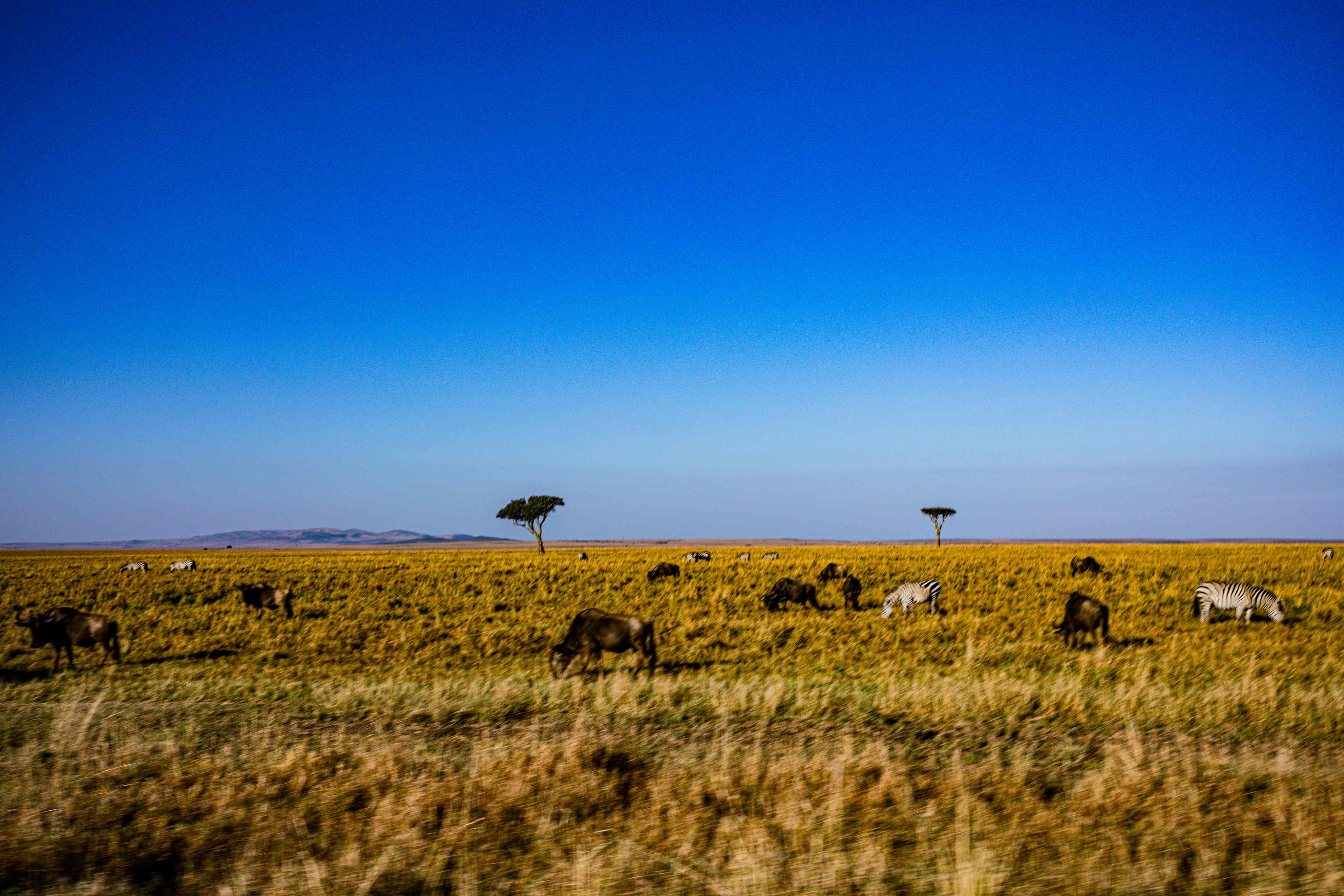 Mozambique view 1