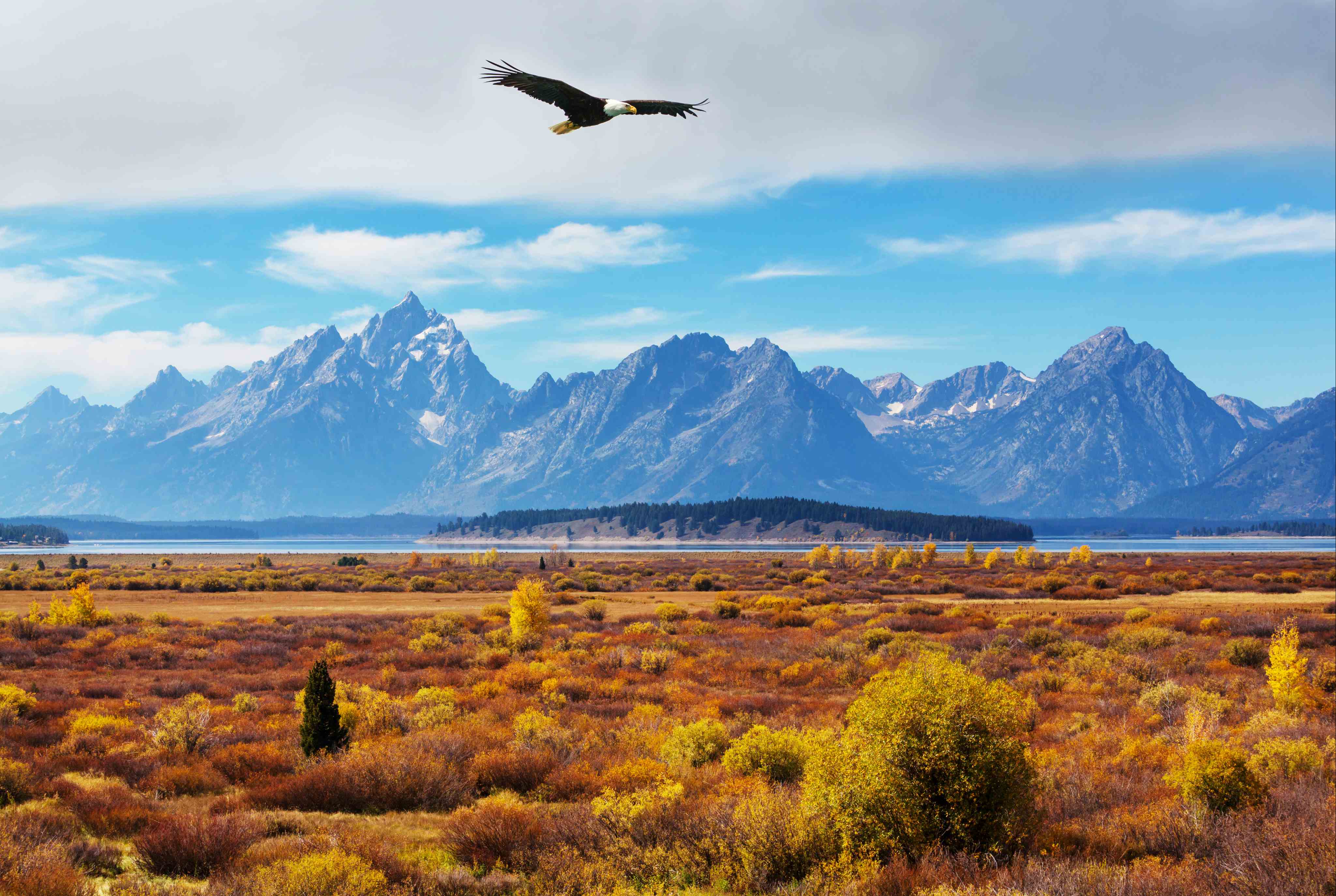 North American landscape with cities and nature