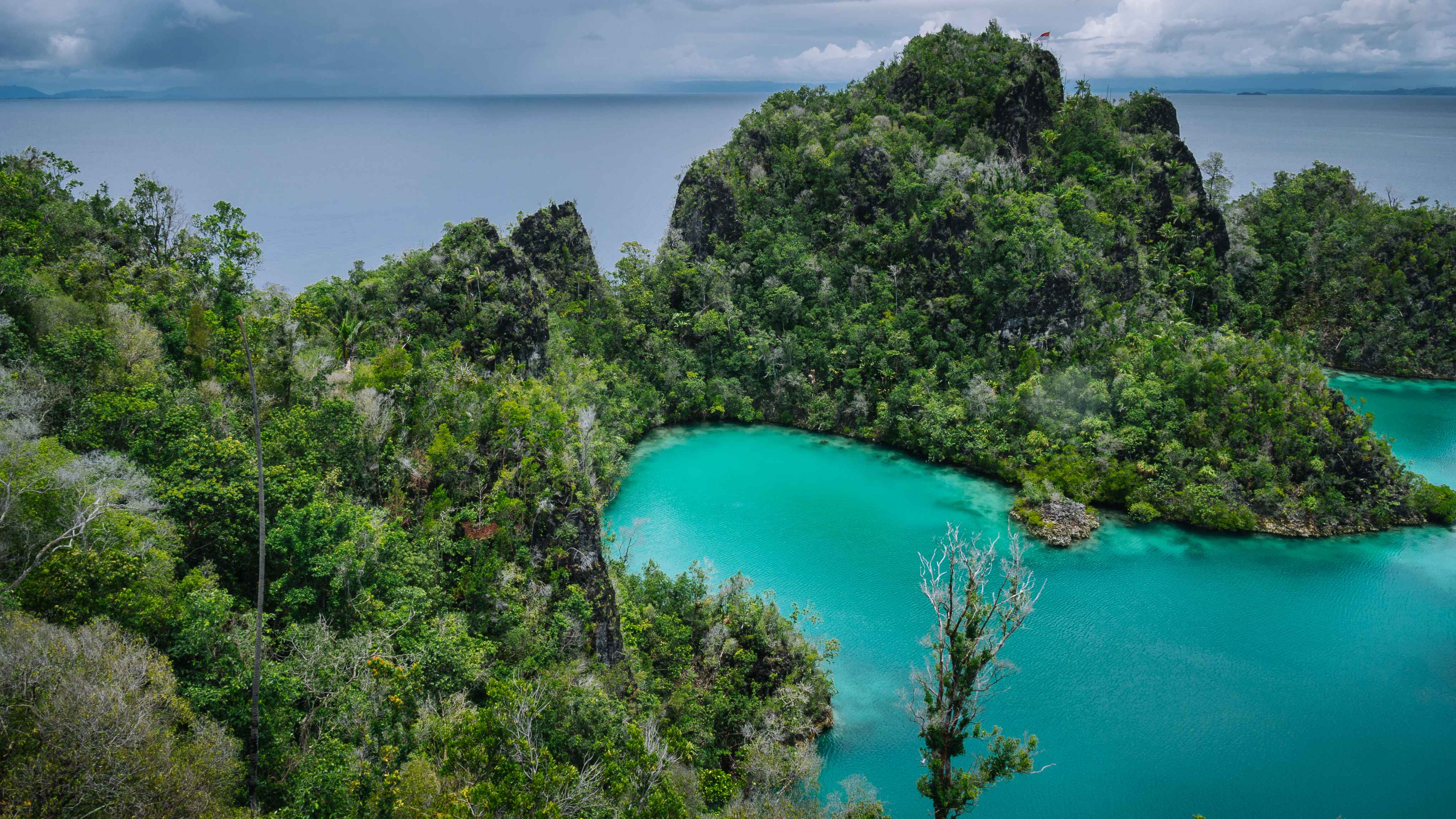 Papua New Guinea