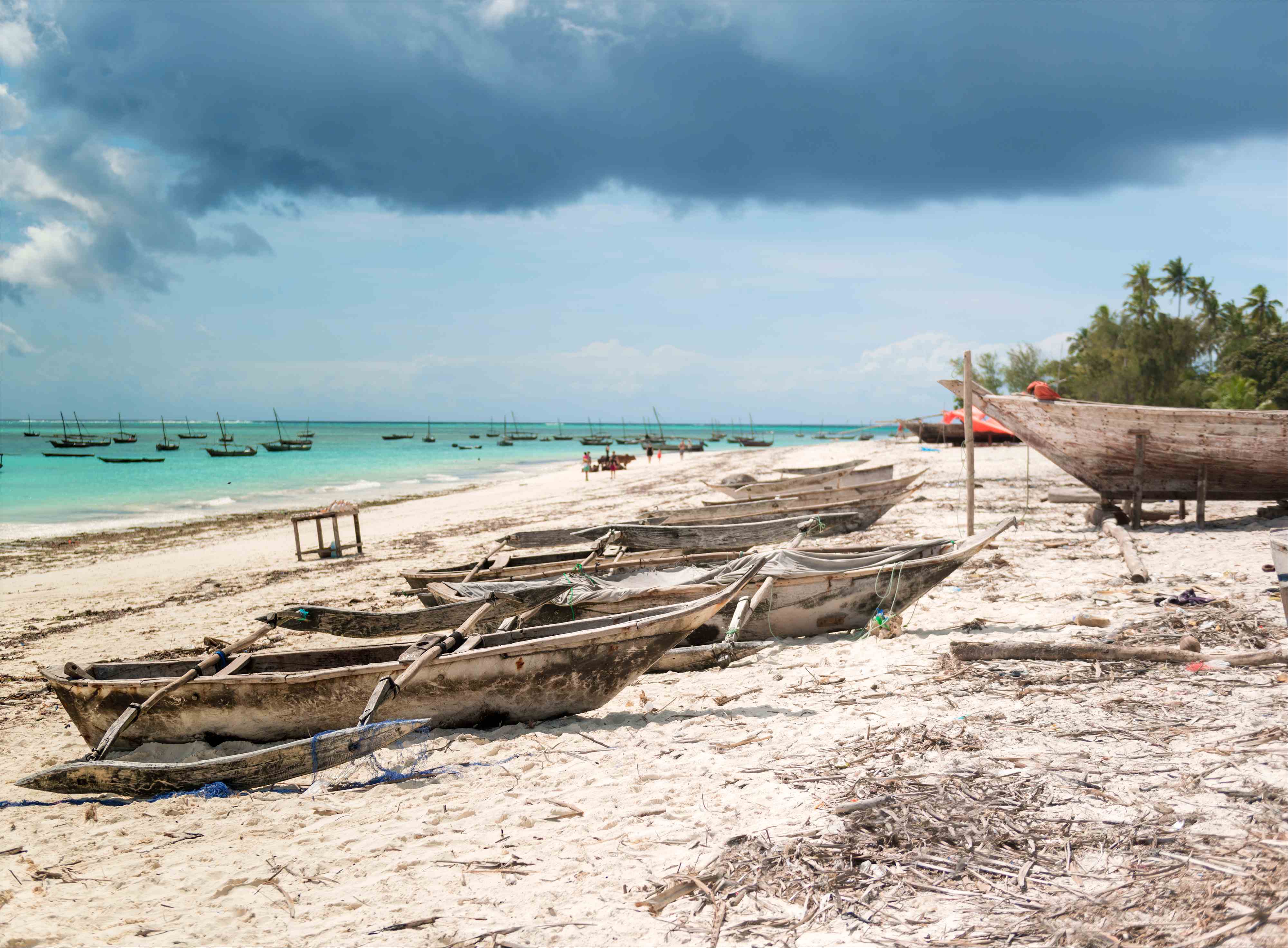 Zanzibar, Tanzania view 1